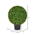 thumbnail image 3 of Vickerman 24" Artificial Potted Green Boxwood Ball., 3 of 8