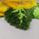 thumbnail image 3 of Alfombras De Baño Alfombra De Inodoro Rosa, Alfombras Antideslizantes, Lavable A Máquina, Absorbente, Alfombra De Inodoro De Baño Amarilla Súper Acogedora,60X70CM, 3 of 5
