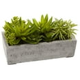 thumbnail image 4 of Nearly Natural 6.5" Succulent Garden Artificial Plant with Concrete Planter, Green, 4 of 16