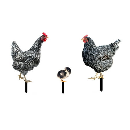 HOMEIU 3Pcs Acrylic Animal Stakes Lifelike Rooster Hen Chicken Ornaments Outdoor Art Decoration for Yards  Gardens Spring Decor