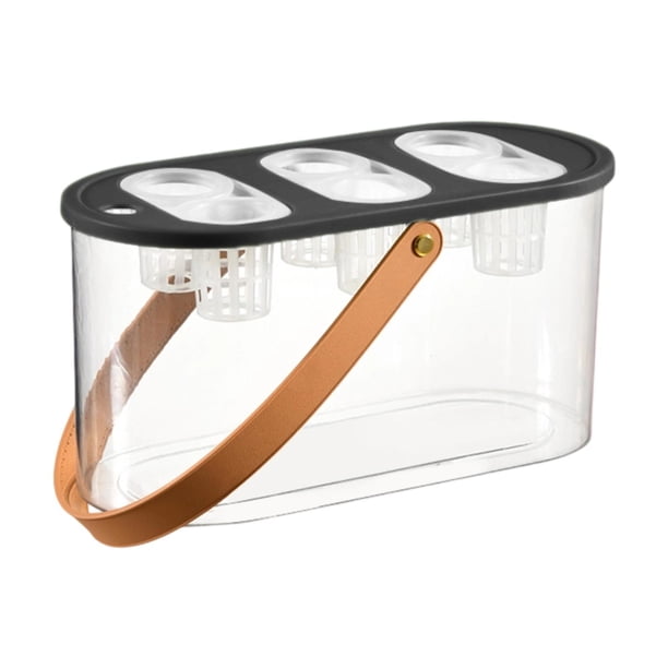 Caja de cultivo hidropónico transparente con 6 agujeros, tanque de escritorio para micropaisaje, para plantas y peces. Negro