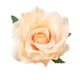 thumbnail image 1 of VEICOSTT - Broche para el pelo con flor de rosa para mujer, accesorios para el pelo, broche de flores ZFJ11 (champán), 1 of 5
