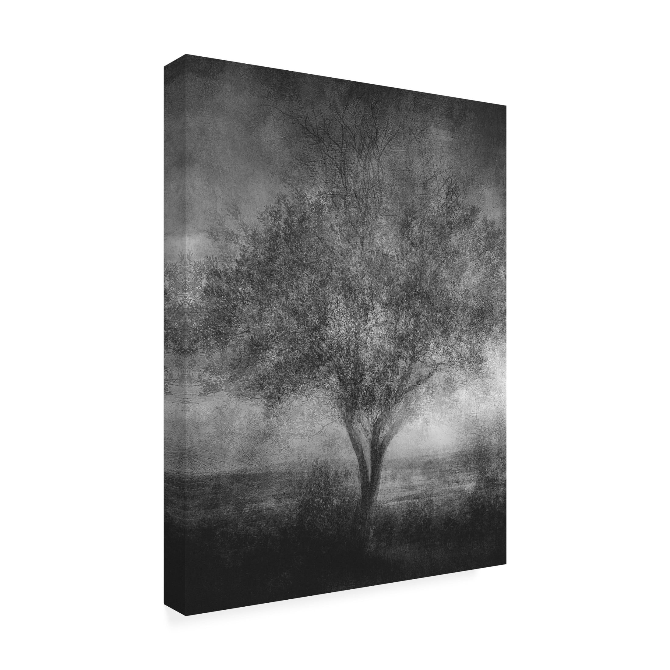 Canvas Wall Art - Katarina Holmstrom 'Reminisce' Wall Art for Living Room, Bedroom, or Office D?cor by Trademark Fine Art - 14 x 19 Inches