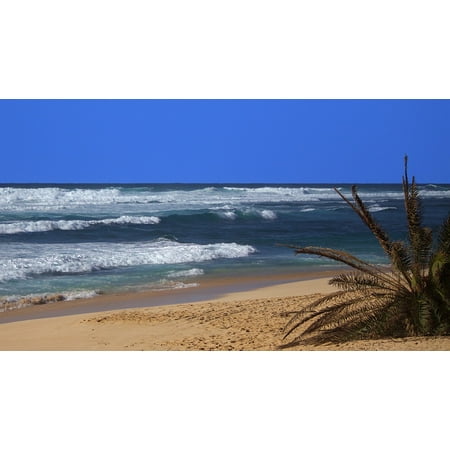 LAMINATED POSTER Tropical Sea Vacation Ocean Beach Hawaii Travel Poster Print 24 x