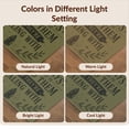 thumbnail image 7 of Design&I 6'x9' Washable Area Rug Olive Green Celestial Typography Sun and Moon Motif with Inspirational Text for Living Room, Family Indoor, Oversized Skid-Resistant, 7 of 7