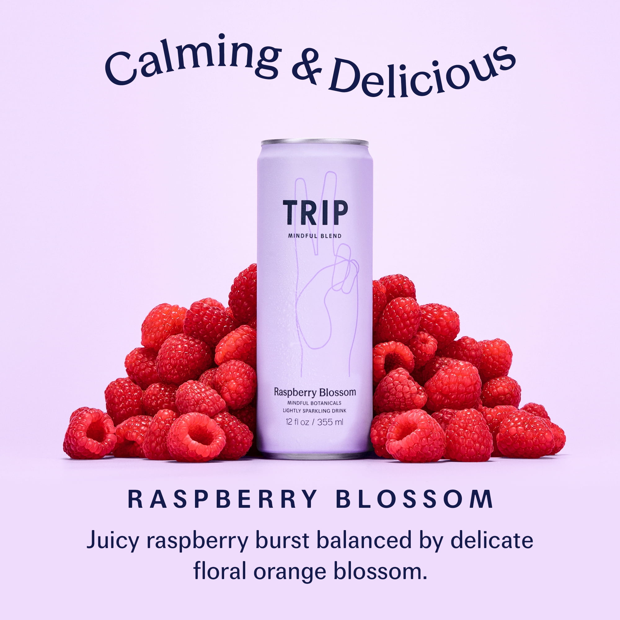 (12 pack) TRIP Lightly Sparkling Non-Alcoholic Drink with Magnesium, Ashwagandha, Lion's Mane & L-Theanine, No Added Sugar Mocktail, Vegan, Raspberry Blossom 12 fl oz