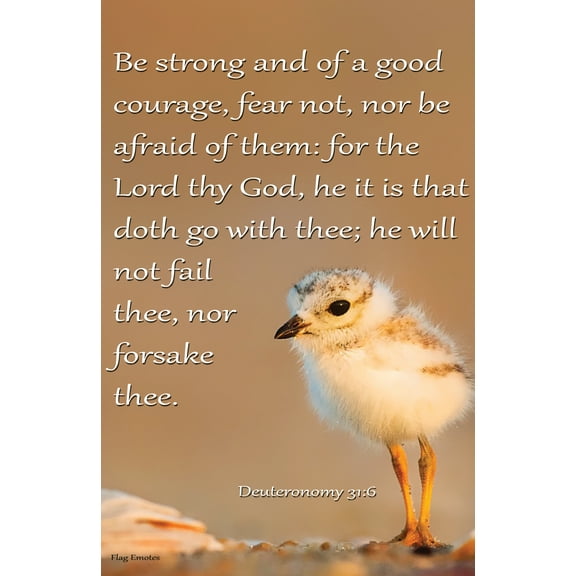 Flag Emotes - Double Sided Garden Flag - Deuteronomy 31:6 Be Strong