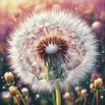 thumbnail image 1 of Dandelion Wishes - Peinture Diamant DIY, 1 of 6