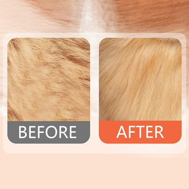 Brosse de Massage en Vaporisateur pour Chats Peigne Démêlant avec Manche Ergonomique pour Cheveux Longs et Courts