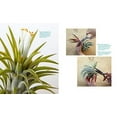 thumbnail image 6 of Air Plants - Paperback, 6 of 6