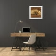 thumbnail image 3 of Thompson, Linda 15x15 White Modern Wood Framed Museum Art Print Titled - Golden Daffodils I, 3 of 4