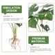 thumbnail image 5 of IFANLANDOR Planta Falsa Para Oficina Con Aspecto Vívido Y Material Duradero Para Interior, 5 of 5