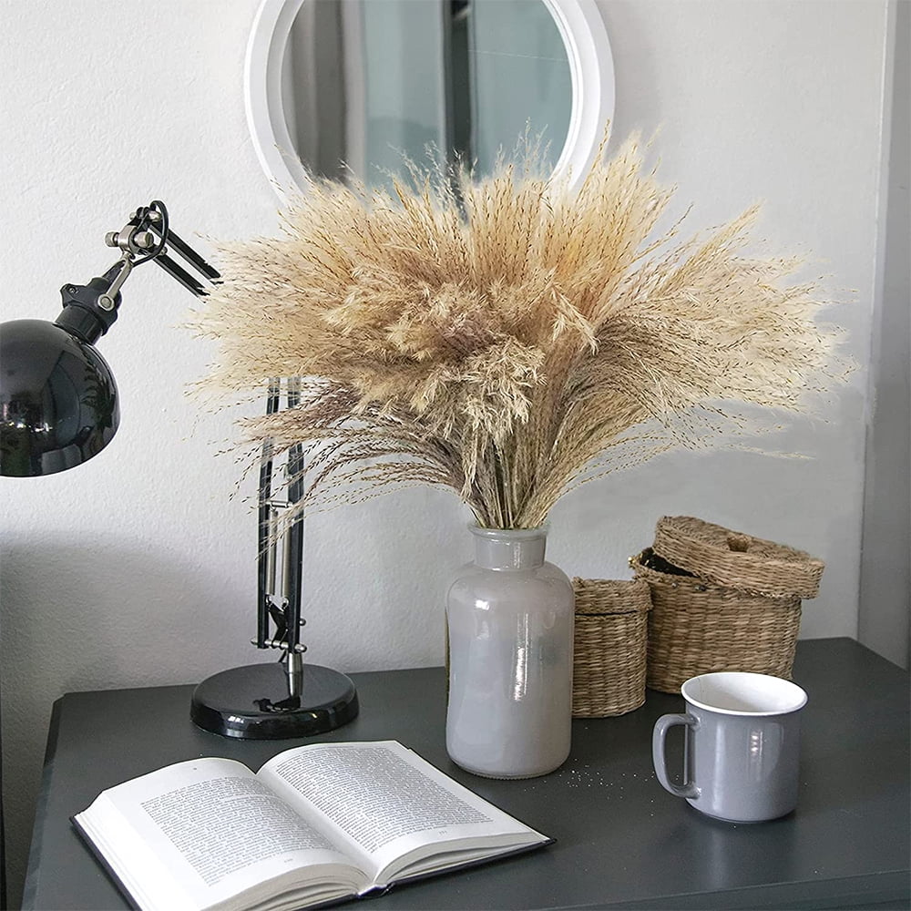 POINTERTECK 100PCS Natural Dried Pampas Grass Plume Large Faux Reed Artificial Plants