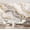 Color 2, variant on Wall Mural Peel and Stick Black white aspen trees make natural texture Colorado forest Self-Adhesive Wallpaper Removable Wall Decal Wall Sticker Home Decor for Living Room Bedroom 69"x96"