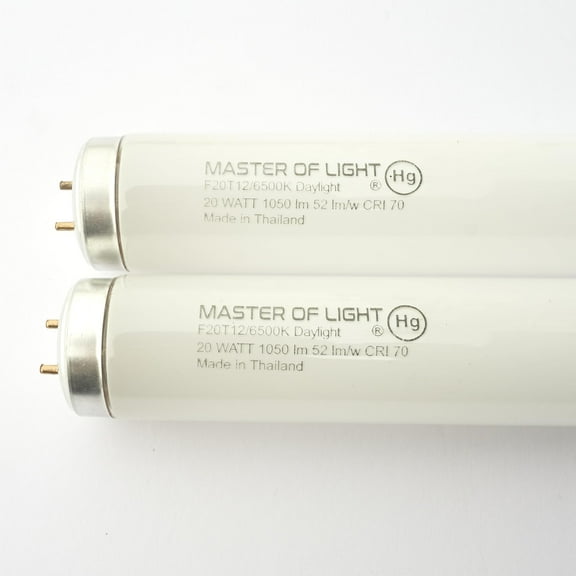 Master of Light F20T12 Daylight Fluorescent Tube Light Bulbs, 2-Pack, 24-Inch, 20W, 6500K, 1050 Lumens, T12 G13 Bi-Pin