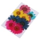 thumbnail image 1 of Variedad de Hojas Secas Naturales Prensadas Soledad para La Fabricación de La Tarjeta de Los Artes de DIY Arts Crisantemo, 1 of 10