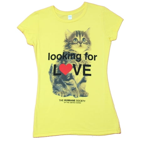 The Humane Society Girls Juniors T-Shirt - Looking For Love Kitten (Medium)