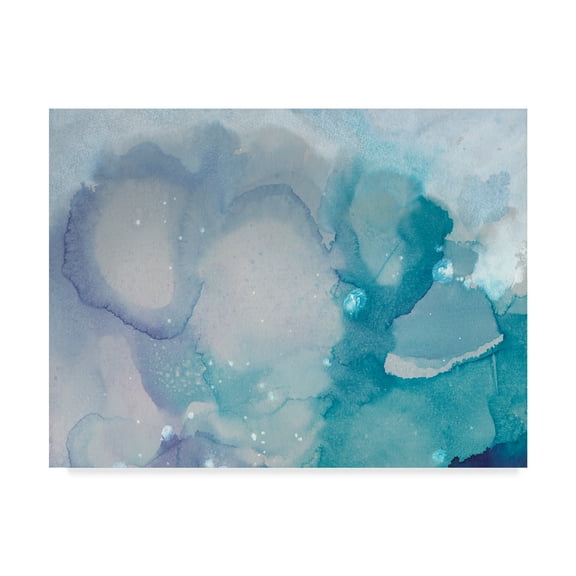 Trademark Fine Art 'Ice Crystals I' Canvas Art by Joyce Combs