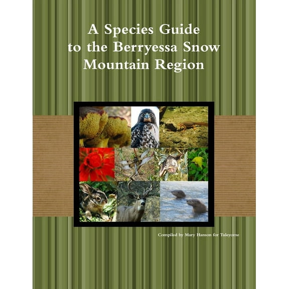 A Species Guide for the Berryessa Snow Mountain Region (Paperback)