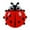 Red, variant on Back to School! pstuiky Tool Storage, Wall-mounted Suction Cup Toothbrush Toothpaste Pencil Container Box Stora Small Storage Shelf Shelf Storage Up to 65% off