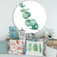 thumbnail image 2 of Designart 'Young Eucalyptus Branches and Leaves II' Traditional Circle Metal Wall Art 36x36 - Disc of 36, 2 of 5