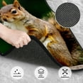 thumbnail image 3 of Fuzoiu Squirrels Eating Peanuts On The Tree Print Carpet Floor Mats for Car,Car Foot Mat Set,Universal Fit 4 Piece Mat Pad Set,Fits Most Cars Trucks Vans Sedans SUV Auto Carpet Mat Se, 3 of 7