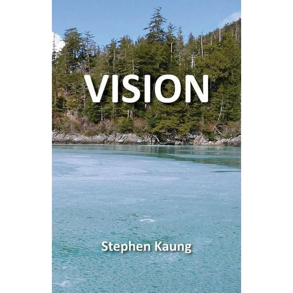 Vision (Paperback)