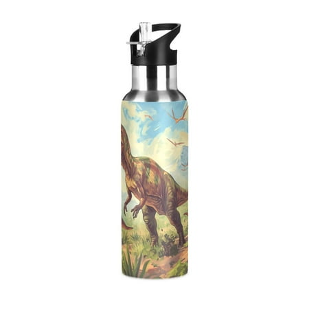 

ALAZA Dinosaur in Forest-a1 Water Bottle Insulated Flask Stainless Steel Straw Lid 20 oz