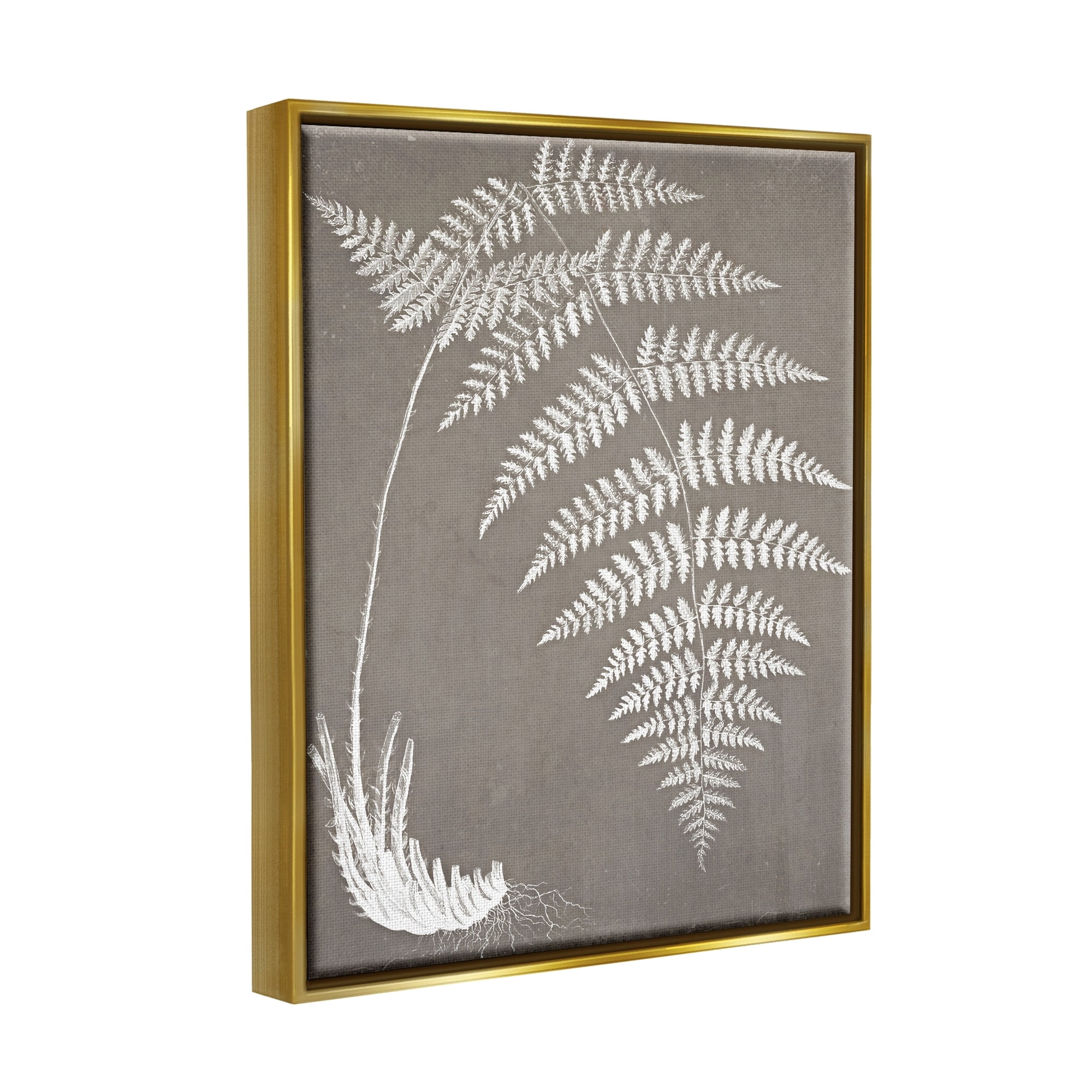 Stupell Industries Fern Leaves Roots Growing Botanicals Neutral Tones Graphic Art Metallic Gold Floating Framed Canvas Print Wall Art, Design by Graffitee Studios