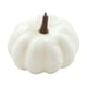 thumbnail image 4 of Pequeña calabaza artificial realista, de otoño, mini calabaza para el hogar, decoración de de otoño, decoración de fiesta de Halloween 65x9cm, 4 of 8