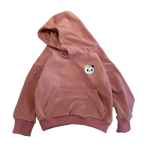 Fall Winter Thick Sweatshirt for Toddler Kids Casual Comfy Soft Hoodie Cute đartoon Embroidery Pullover Tops Birthday Outfit