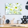 thumbnail image 4 of Epic Art 'Daisy Dance' by Pamela Plummer, Acrylic Glass Wall Art, 16"x12", 4 of 8