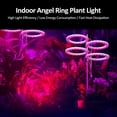 thumbnail image 3 of Graflsoa Lumière de Culture LED Spectre Rose pour Succulentes, Hauteur Réglable, Alimentée par USB, 20 Perles, 5 Niveaux de Luminosité, Minuterie 8H/12H/16H, 1 à 4 Options de Pack, 3 of 6
