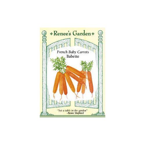 Carrot French Baby Babette Walmart Com