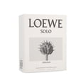thumbnail image 3 of Solo Loewe Origami 100 Ml Edt Spray Loewe Solo Origami, 3 of 3