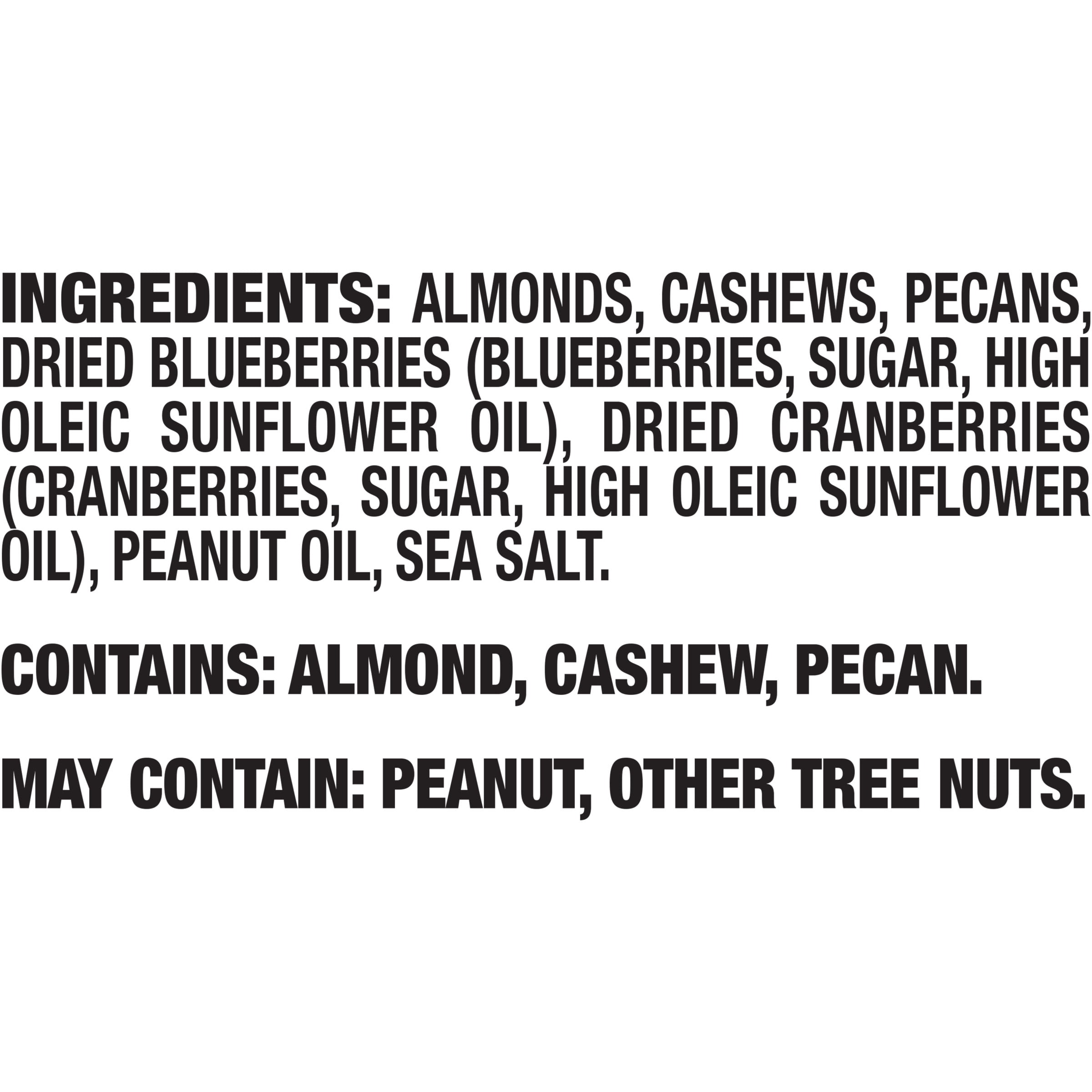 NUT-RITION Antioxidant Mix with Almonds, Cashews, Pecans, Blueberries, Cranberries & Sea Salt, 1.75 oz Bag (Pack of 10)