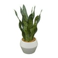 thumbnail image 5 of DecMode 15" Artificial Snake Plant in Realistic Leaves and White Porcelain Pot, 5 of 7