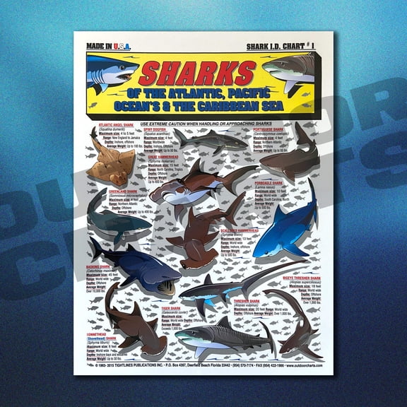 Sharks Identification Chart #1 Atlantic, Pacific, and Caribbean Oceans