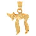 thumbnail image 2 of JewelStop 14k Solid Yellow Gold Jewish Chai Charm Pendant, 2 of 4