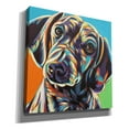 thumbnail image 2 of Epic Graffiti 'Painted Dachshund II' by Carolee Vitaletti, Canvas Wall Art, 12"x12", 2 of 2