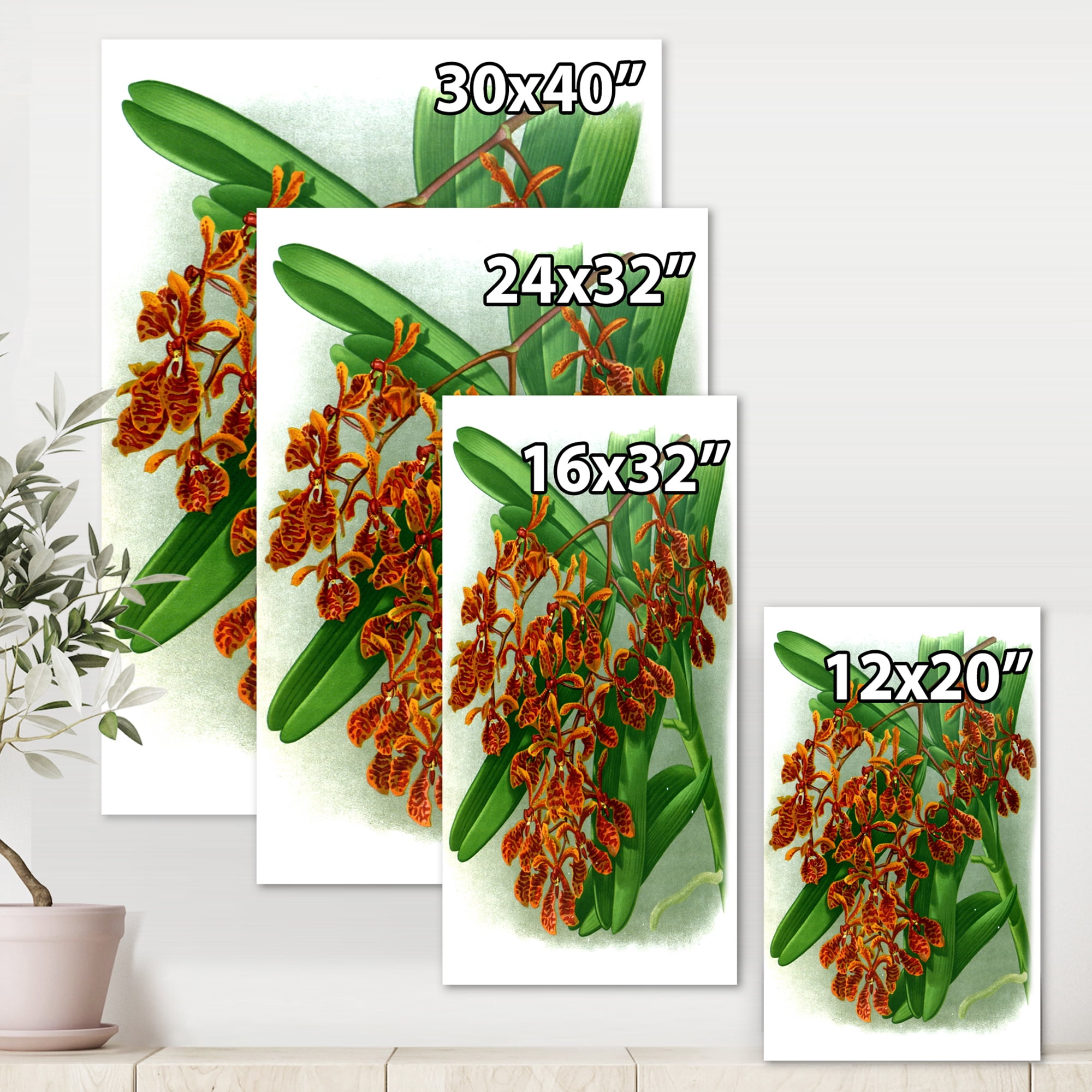 Designart ' Flowers Retro II ' Farmhouse Canvas Wall Art Print