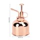 thumbnail image 3 of Beautiful Hand Pressure Watering Can Pot Spray Bottle Indoor Plant Misters Houseplant Accessory, 3 of 5