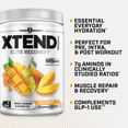 thumbnail image 3 of XTEND Original BCAA Powder, Sugar Free Post Workout Muscle Recovery Drink with Amino Acids and 7g BCAAs, Mango Madness Flavor, 30 Servings, 3 of 5