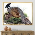 thumbnail image 2 of Designart 'Close Up Of Vintage Countryside Birds' Farmhouse Framed Canvas Wall Art Print, 2 of 5