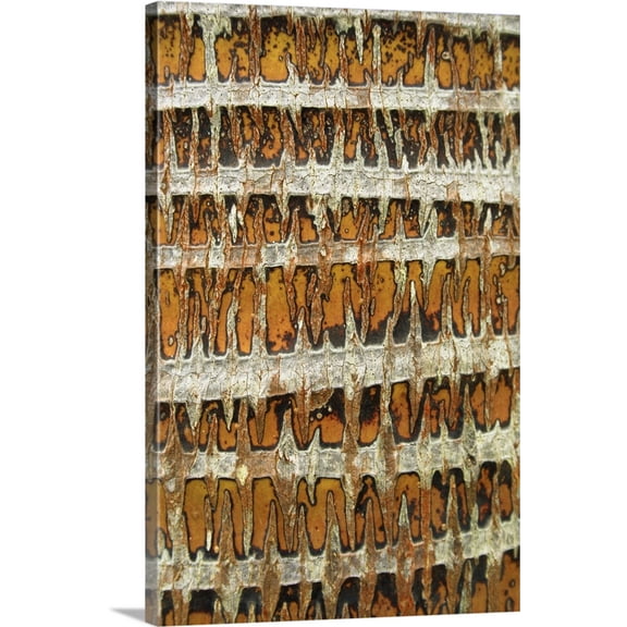 Great BIG Canvas | "Hawaii, Oahu, Close-Up Of Coconut Palm Tree Bark Texture" Canvas Wall Art - 32x48