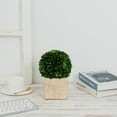 thumbnail image 4 of BOXWOOD WORLD Preserved Boxwood Ball Topiary for House Decor Potted Preserved Mini Boxwood Topiary All Season Green Topiary Decor, 4 of 7