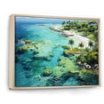 thumbnail image 2 of Designart "A Haven Adorned with Caraibe s Finest" Landscapes Floater Framed Canvas Wall Art, 2 of 7