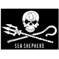 thumbnail image 1 of Bandera pirata de Jolly Roger, Calavera, huesos y espadas de sable cruzado, 90x150cm, bandera pirata de Jack Rackham, hermanos de la costa, envío gratis, 1 of 4