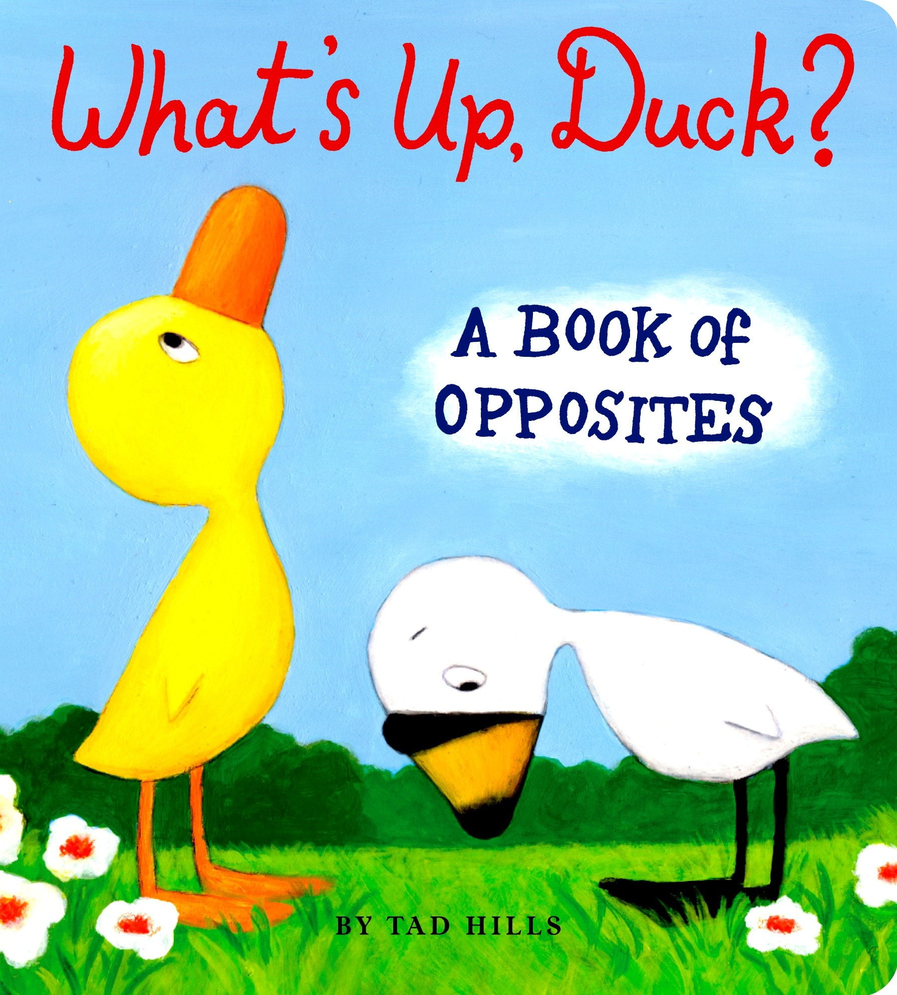 Whats Up Duck A Book of Opposites (Board Book)