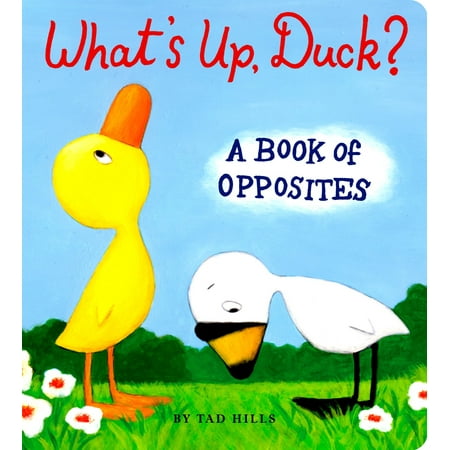 Whats Up Duck A Book of Opposites (Board Book)